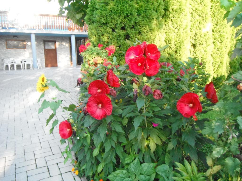 Szoloskert Apartman Cserszegtomaj Dış mekan fotoğraf