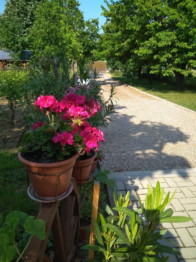 Szoloskert Apartman Cserszegtomaj Dış mekan fotoğraf